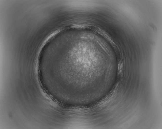 X0000112010724200908241454