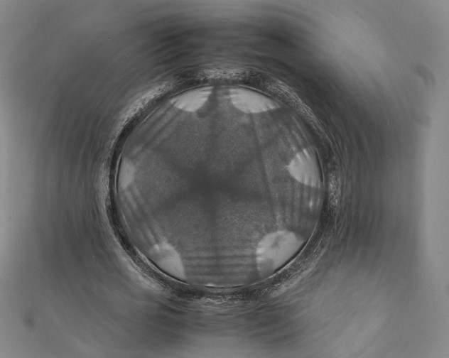 X0000112010725200908241454