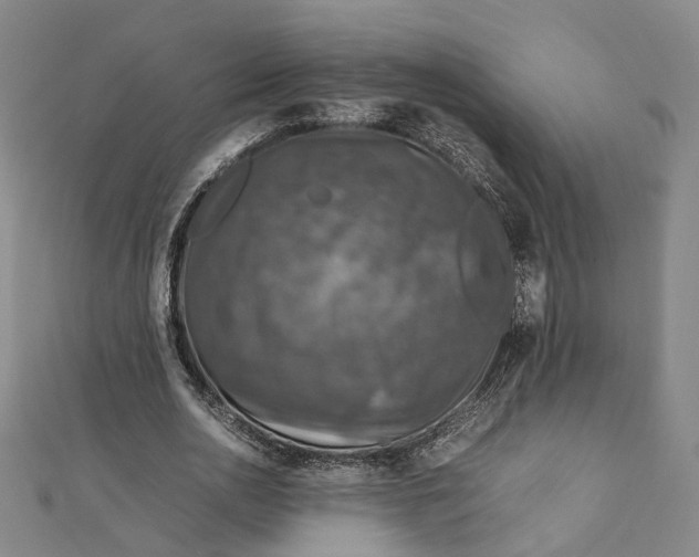 X0000112010726200908241454