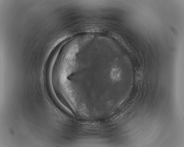 X0000112010727200908241454