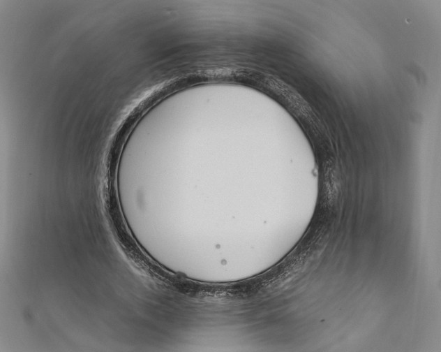 X0000112010728200908241454