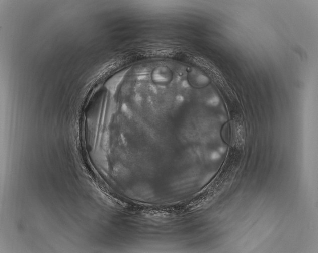 X0000112010729200908241454