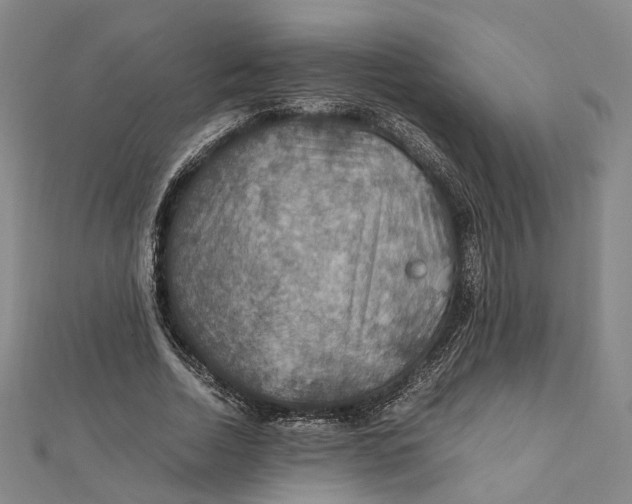 X0000112010730200908241454