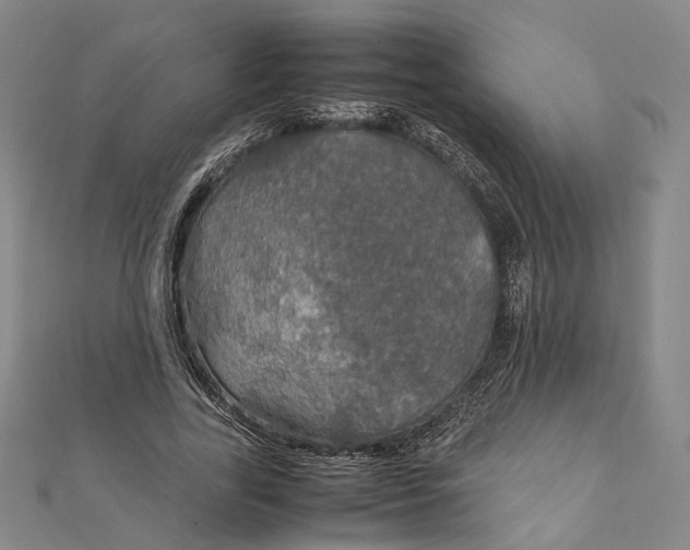 X0000112010731200908241454