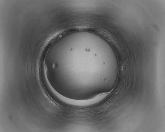 X0000112010732200908241454