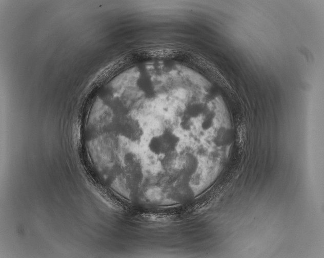 X0000112010733200908241454