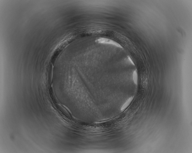 X0000112010735200908241454