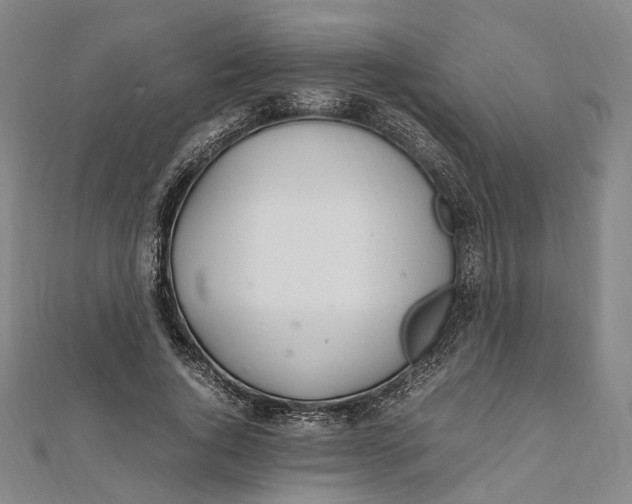 X0000112010736200908241454