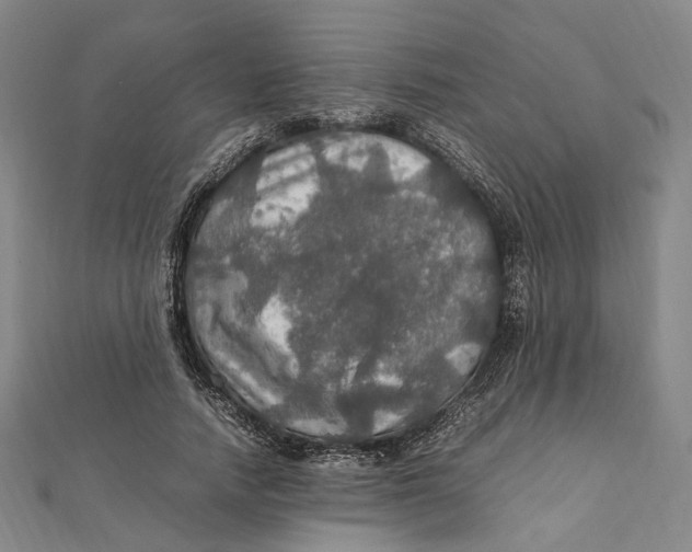 X0000112010738200908241454