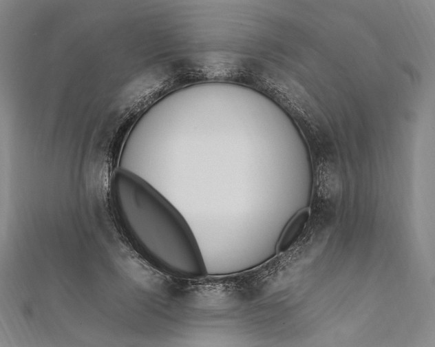 X0000112010740200908241454