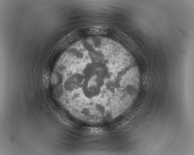 X0000112010741200908241454