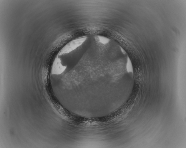 X0000112010742200908241454