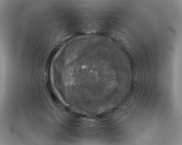 X0000112010743200908241454