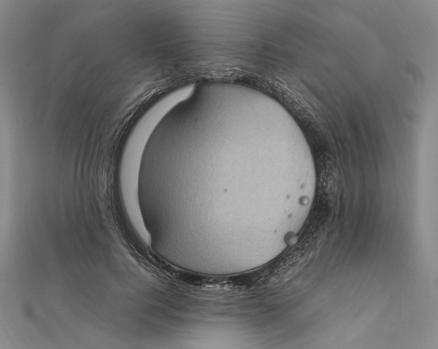 X0000112010744200908241454