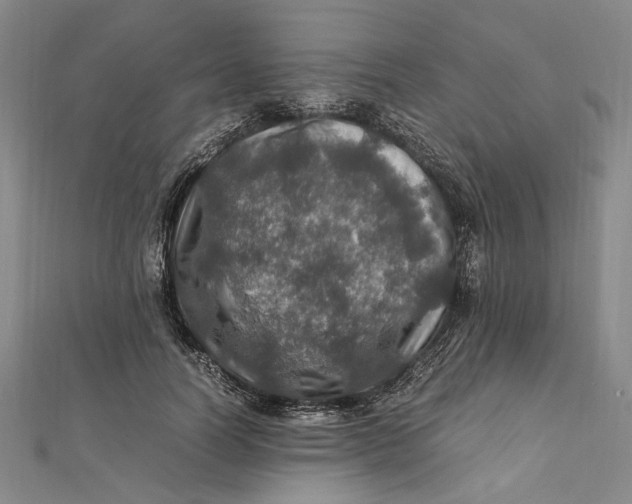 X0000112010746200908241454