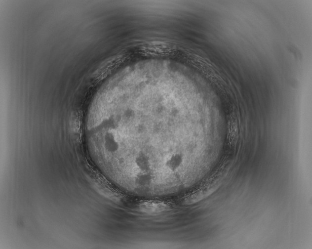 X0000112010749200908241454