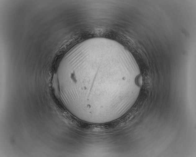 X0000112010750200908241454