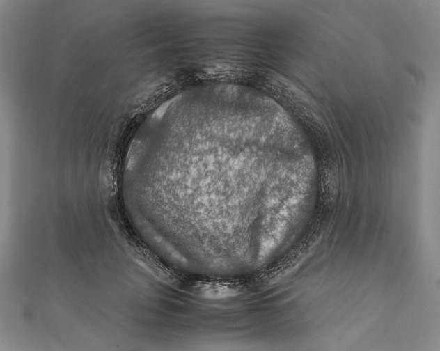 X0000112010751200908241454