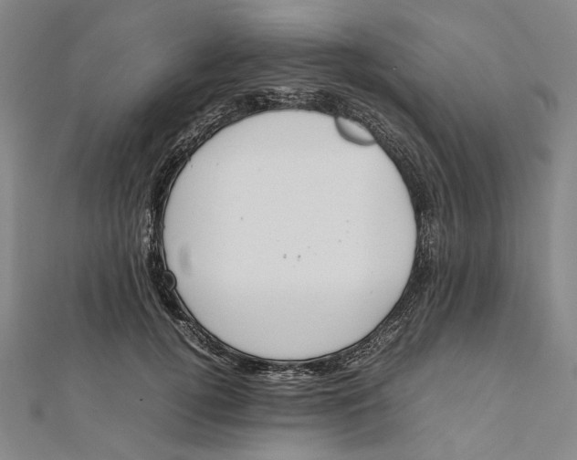 X0000112010752200908241454