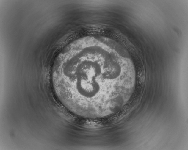 X0000112010753200908241454