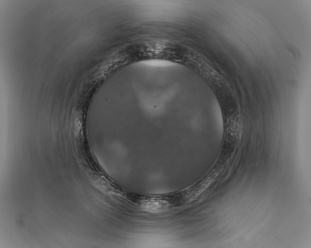 X0000112010754200908241454