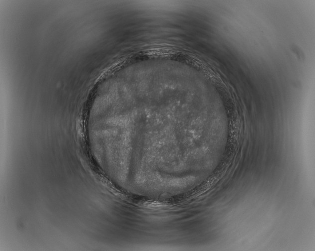 X0000112010755200908241454