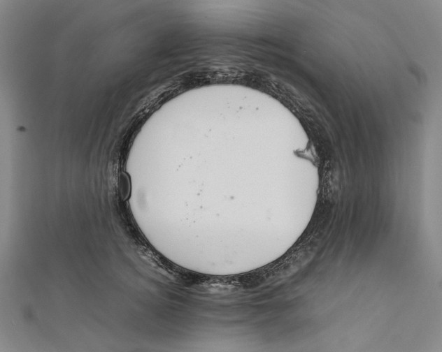 X0000112010756200908241454