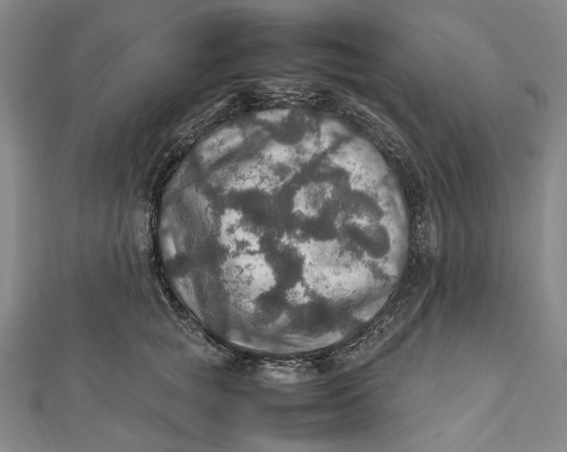 X0000112010757200908241454