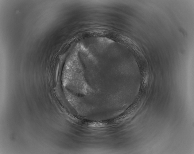 X0000112010759200908241454