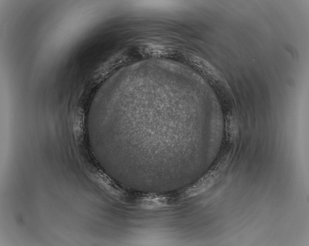 X0000112010760200908241454