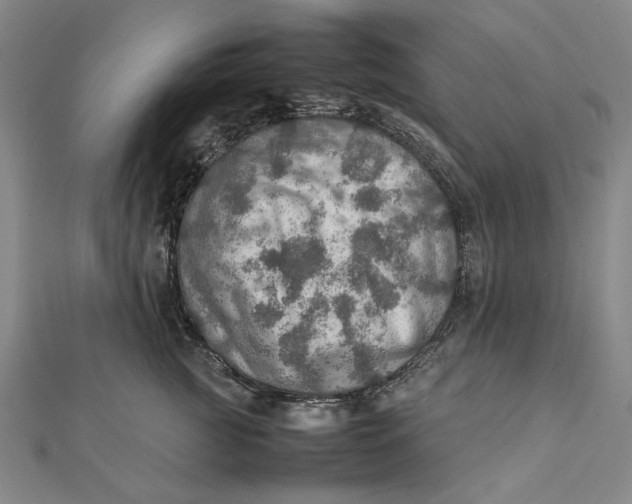 X0000112010761200908241454