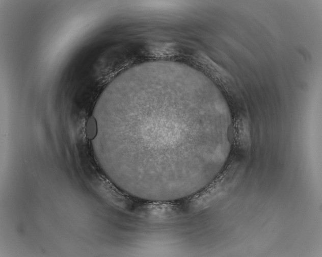 X0000112010762200908241454