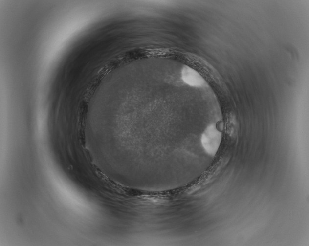 X0000112010763200908241454