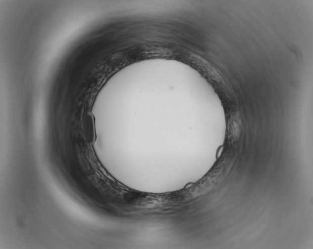 X0000112010764200908241454