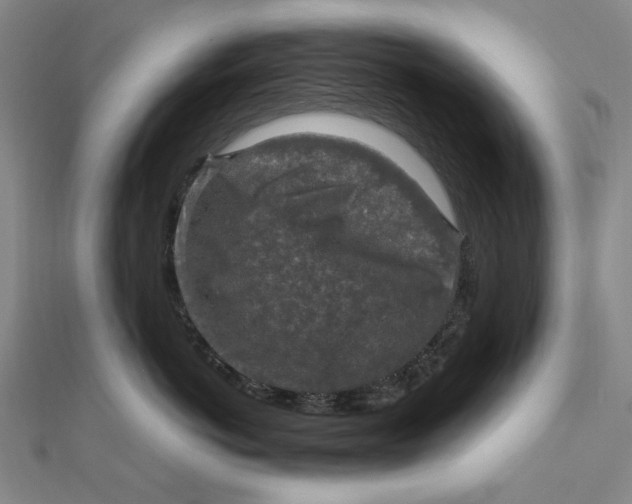 X0000112010766200908241454