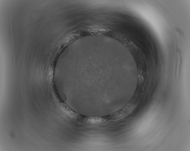 X0000112010767200908241454