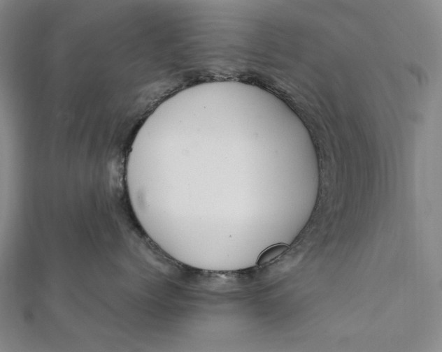 X0000112010768200908241454