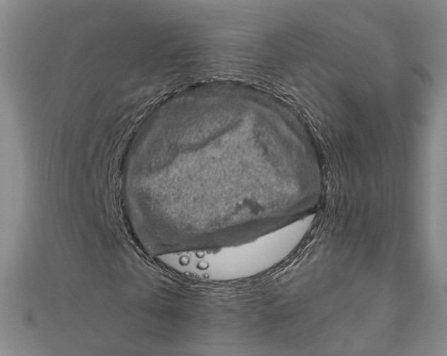 X0000112010769200908241454