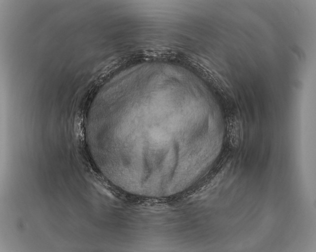 X0000112010770200908241454