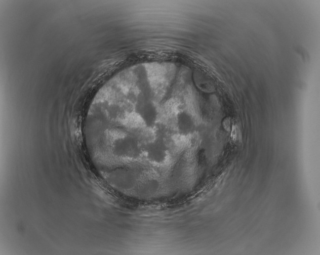 X0000112010771200908241454