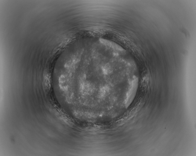 X0000112010772200908241454