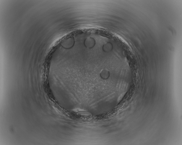 X0000112010775200908241454