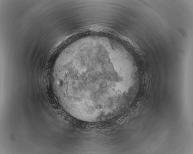 X0000112010776200908241454