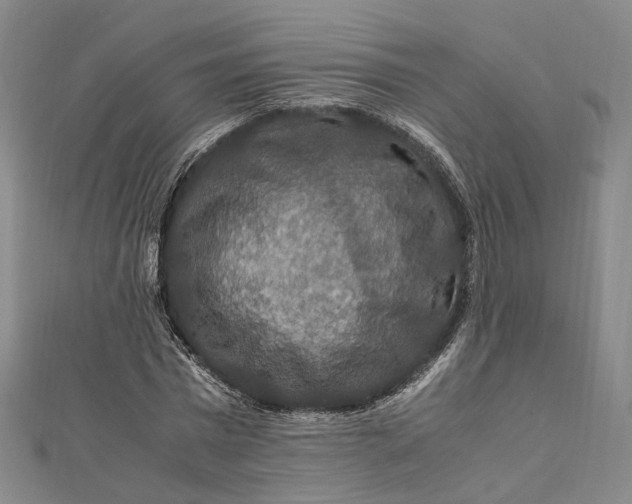 X0000112010777200908241454