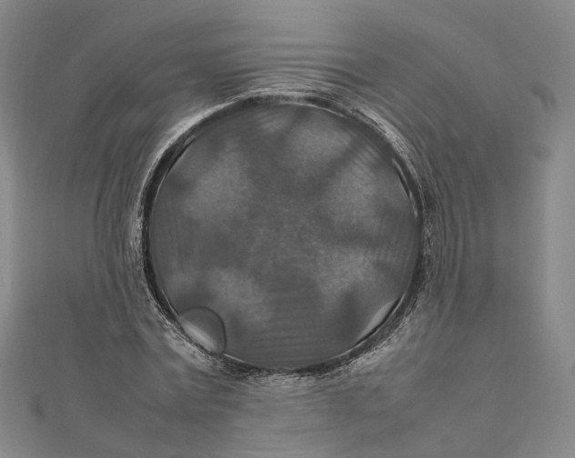 X0000112010779200908241454