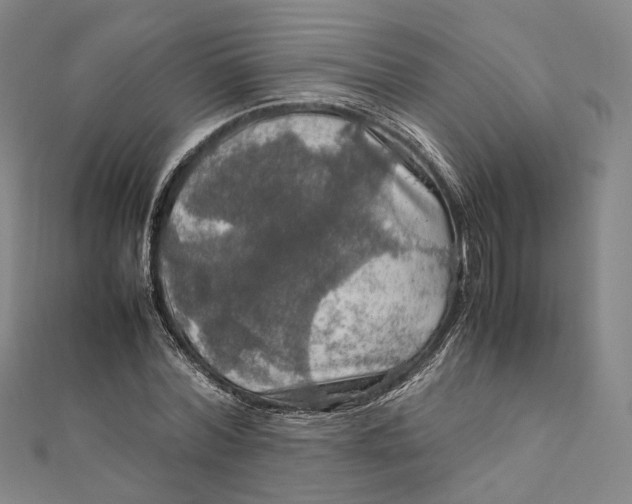 X0000112010780200908241454