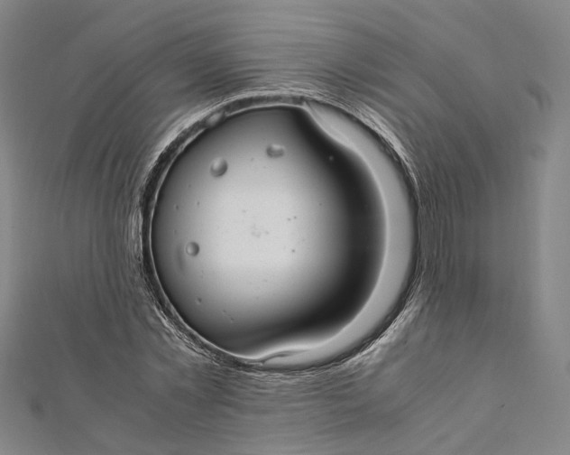 X0000112010781200908241454