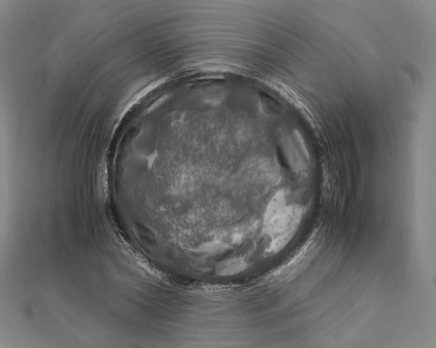 X0000112010782200908241454