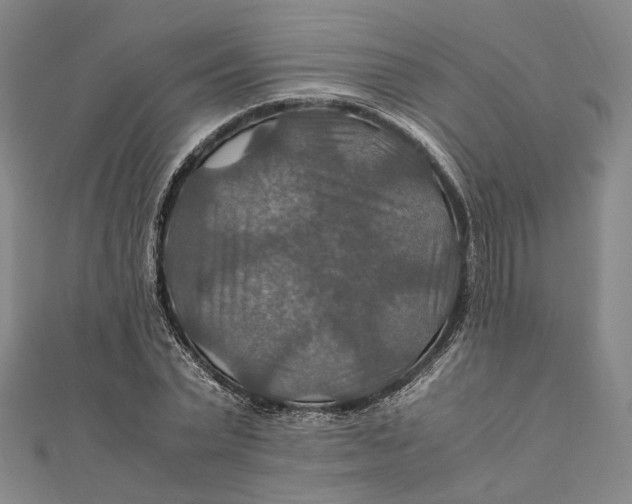 X0000112010783200908241454