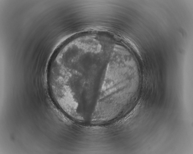 X0000112010784200908241454